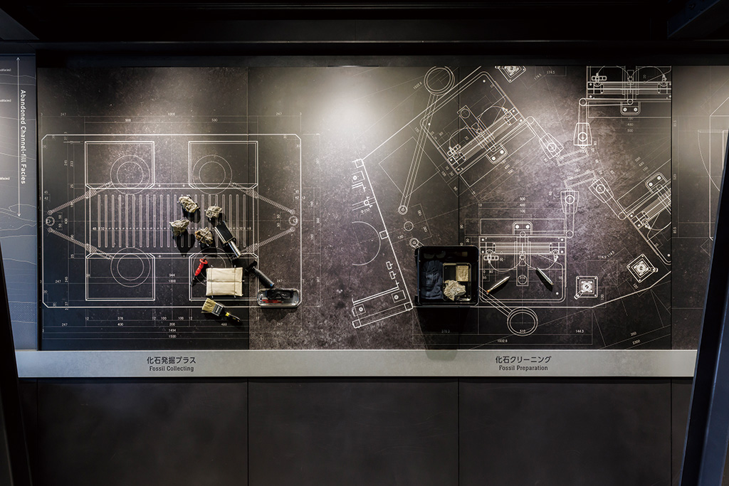 福井県立恐竜博物館(勝山市)