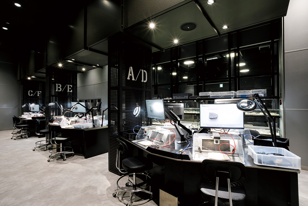 Lab.2 化石クリーニング/福井県立恐竜博物館(勝山市)