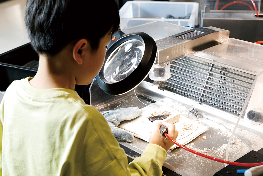 化石クリーニング:観察する様子/福井県立恐竜博物館(勝山市)