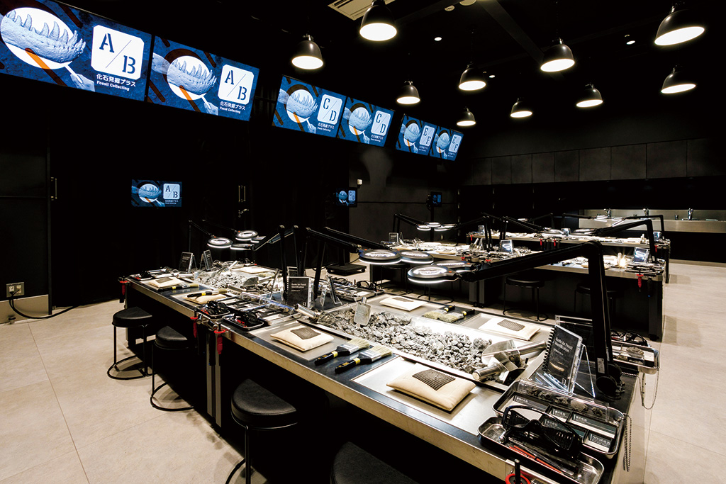 Lab.1　化石発掘プラス/福井県立恐竜博物館（勝山市）