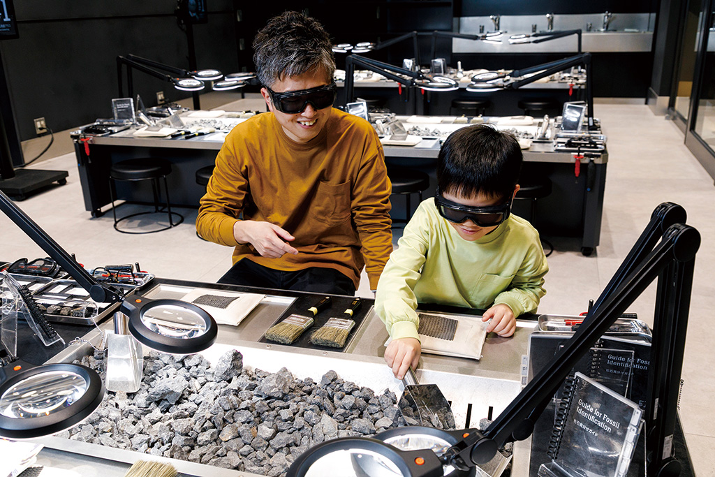 石選び/福井県立恐竜博物館（勝山市）