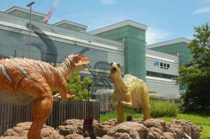 福井県立恐竜博物館へのアクセスを解説! 東京・大阪・名古屋から行くには? 恐竜列車の情報も!