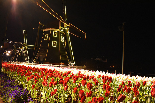 ライトアップされた夜のフラワーロード/ハウステンボス(長崎県/佐世保市)