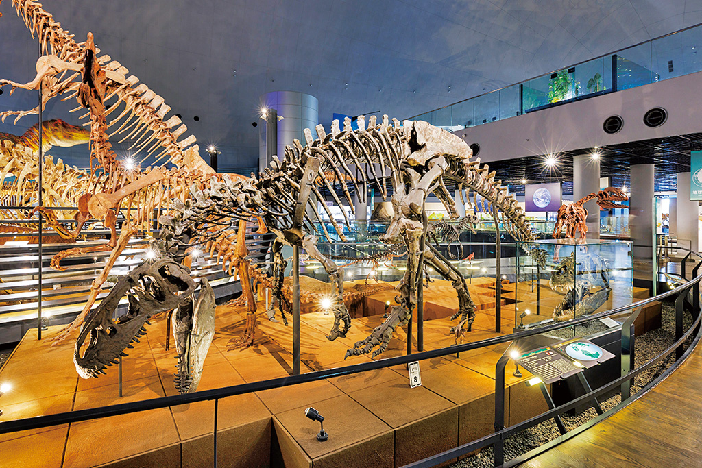 全身骨格標本/福井県立恐竜博物館（勝山市）