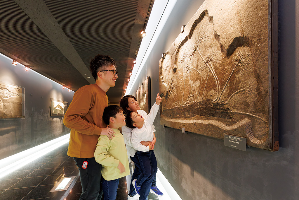 ダイノストリート/福井県立恐竜博物館(勝山市)