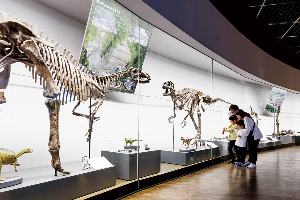 福井県の恐竜/福井県立恐竜博物館（勝山市）