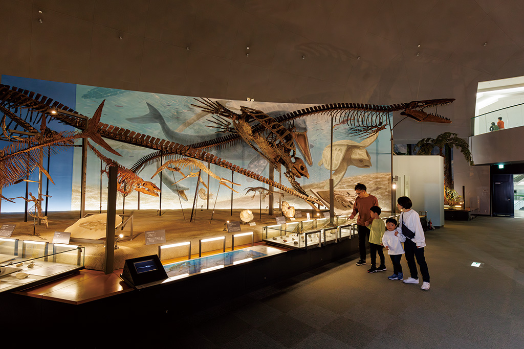 生命の歴史/福井県立恐竜博物館（勝山市）