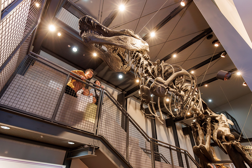 ダイノラボ/福井県立恐竜博物館(勝山市)