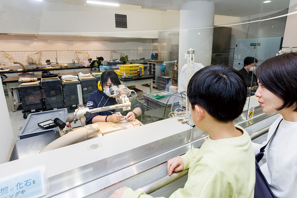 化石クリーニング室/福井県立恐竜博物館(勝山市)