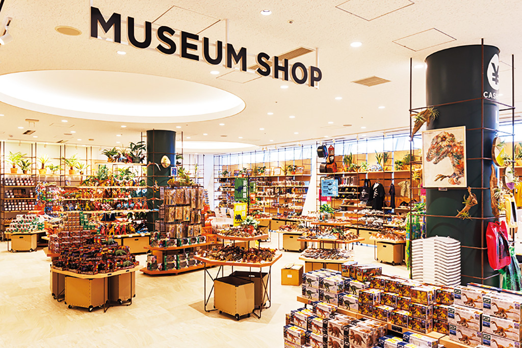 ミュージアムショップ/福井県立恐竜博物館(勝山市)