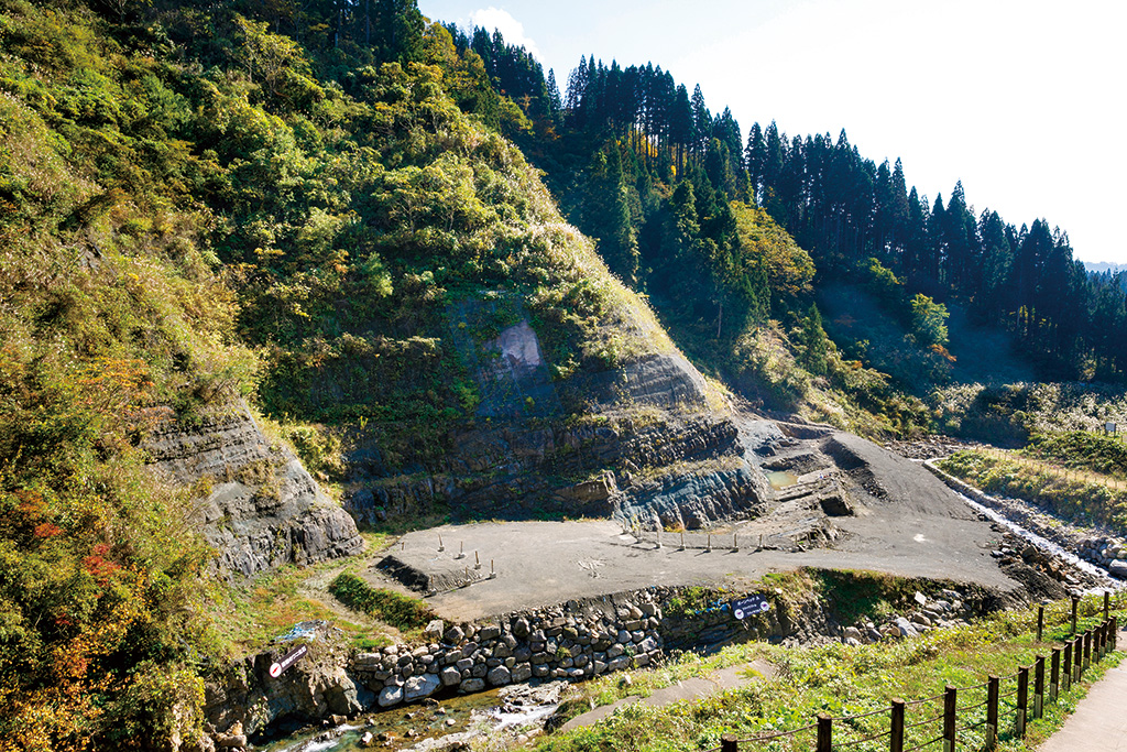 野外恐竜博物館/福井県立恐竜博物館(勝山市)