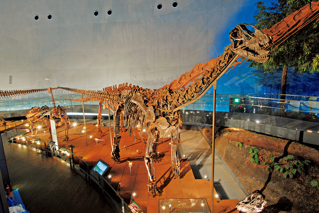 骨格の90%以上が実物のカマラサウルス/福井県立恐竜博物館(勝山市)