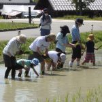 関西で子どもと田植え体験・米作り体験ができるスポット！初めての田んぼにワクワク
