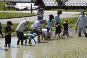 関西で子どもと田植え体験・米作り体験ができるスポット！初めての田んぼにワクワク