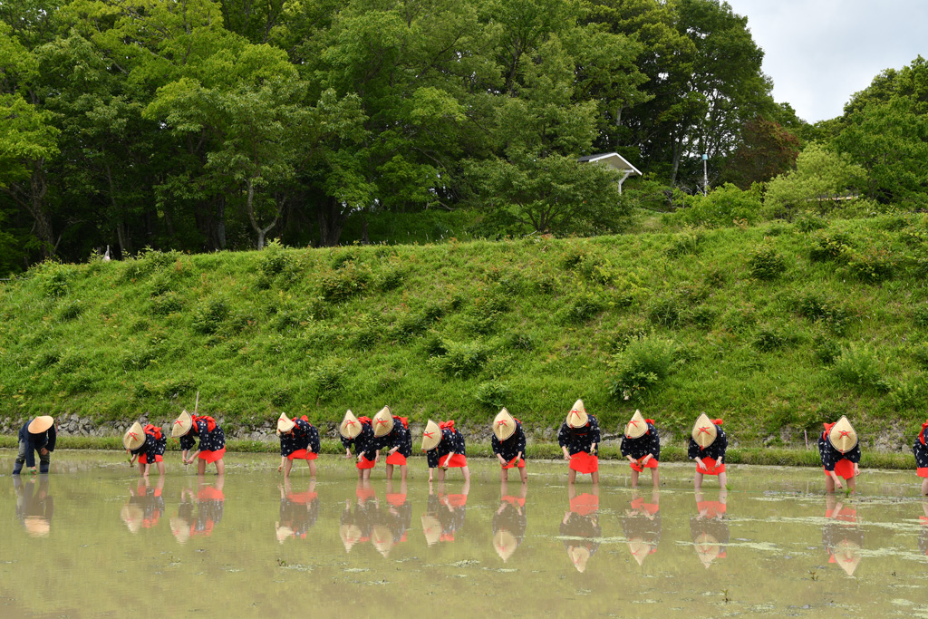田植え体験「あいな里山公園」(兵庫県/神戸市)