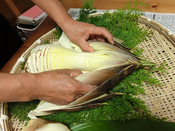 掘ってすぐの新鮮なたけのこ/「龍ヶ谷ドリーム王国」(埼玉県/越生町)