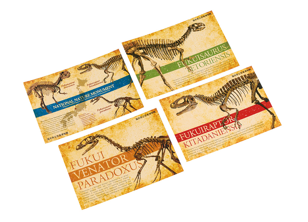 FPDM限定ポストカード/福井県立恐竜博物館(勝山市)