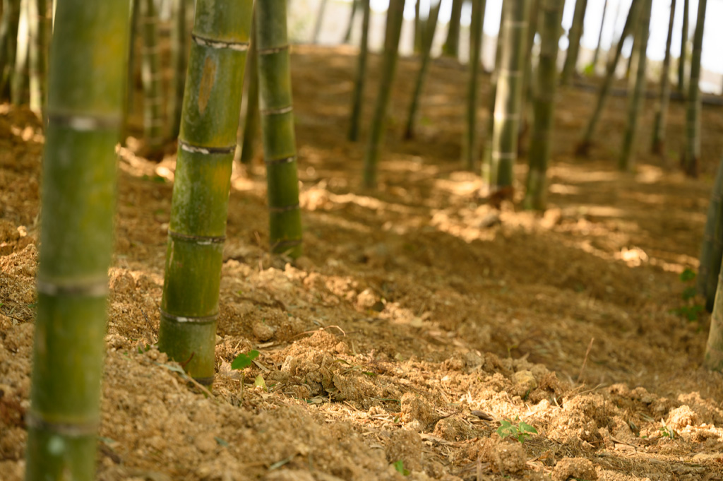 「かいづか いぶきヴィレッジ(大阪府立農業公園)」(大阪府/貝塚市)