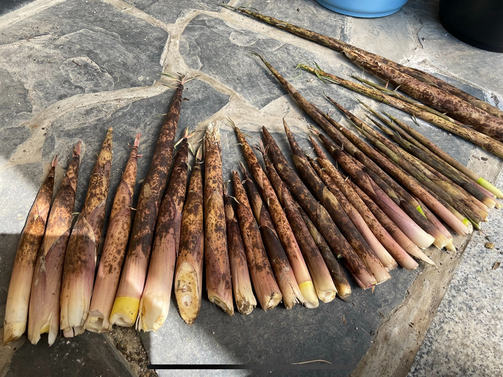「コミュニケーションファクトリー」(兵庫県/猪名川町)