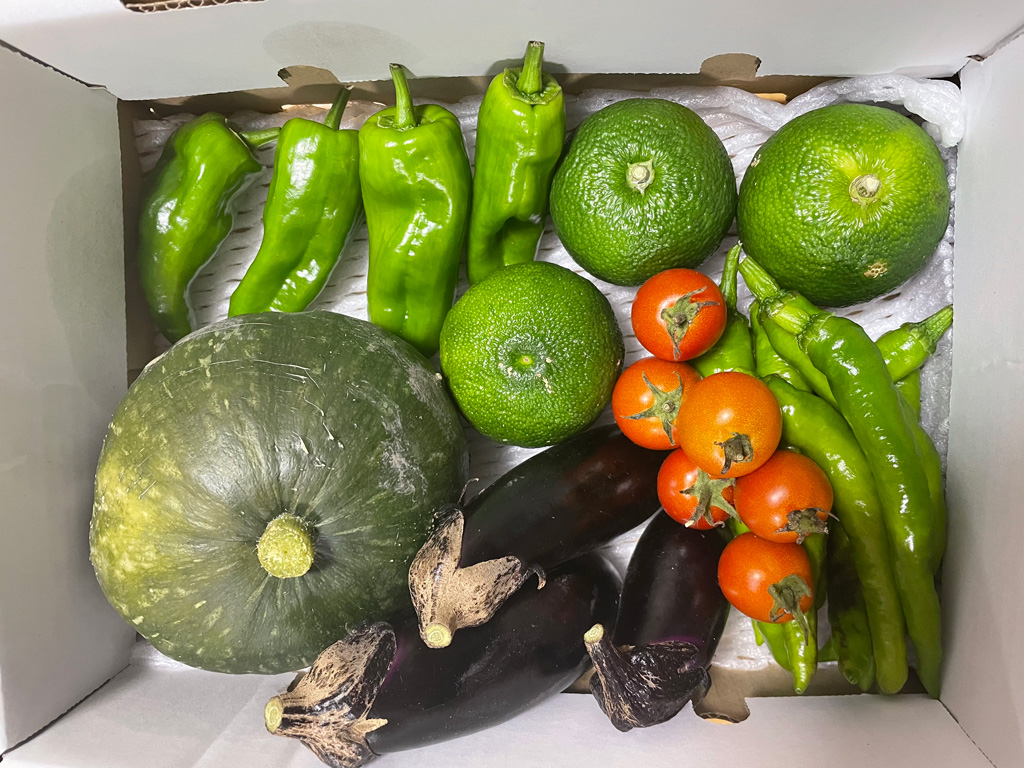 「コミュニケーションファクトリー」(兵庫県/猪名川町)