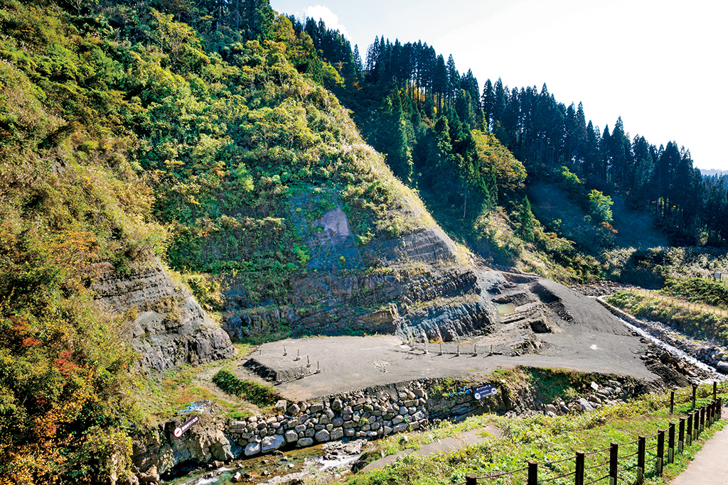 野外恐竜博物館発掘現場/福井県立恐竜博物館（勝山市）