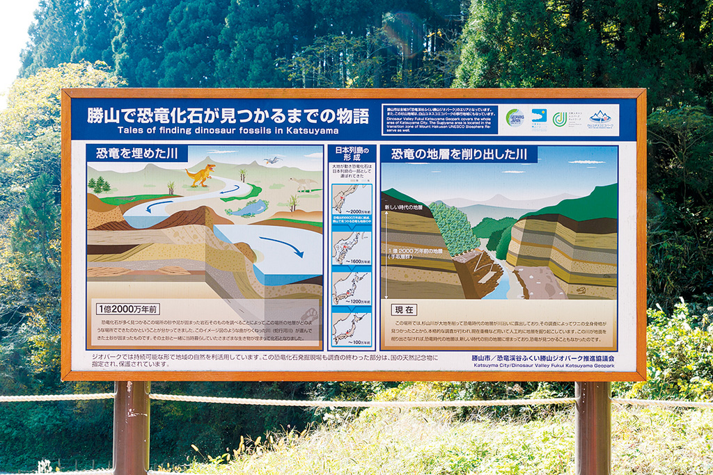 地層の歴史の説明版/福井県立恐竜博物館（勝山市）