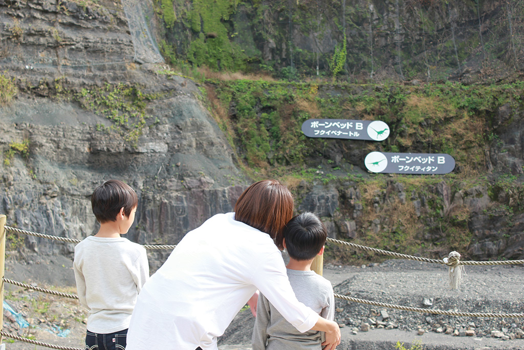 約1億2000万年前の地層/福井県立恐竜博物館（勝山市）
