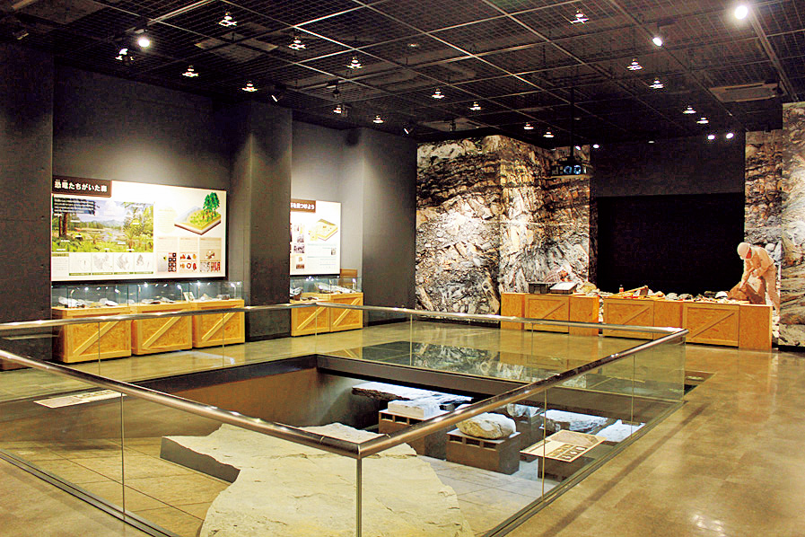 展示場/福井県立恐竜博物館（勝山市）