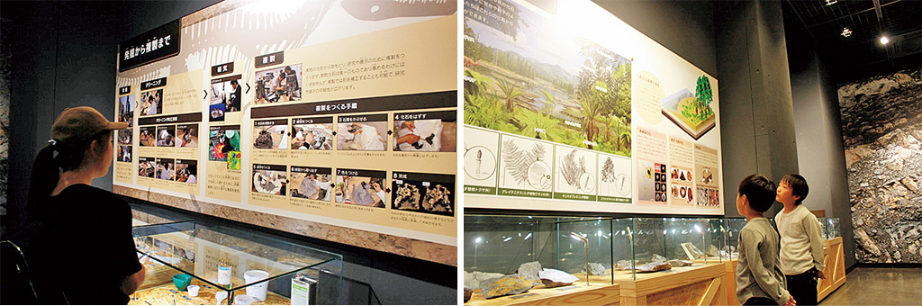 展示場を見学/福井県立恐竜博物館（勝山市）