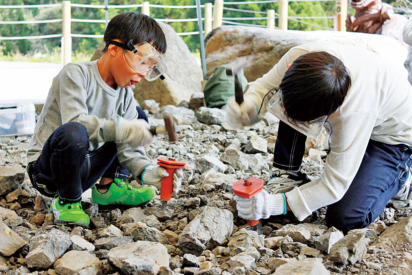 化石発見/福井県立恐竜博物館(勝山市)