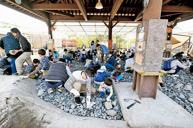 化石発掘体験|どきどき恐竜発掘ランド/かつやま恐竜の森(勝山市)