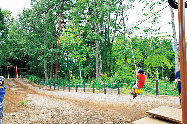 ビッグターザンロープ|ティラノサウルス広場/かつやま恐竜の森(勝山市)