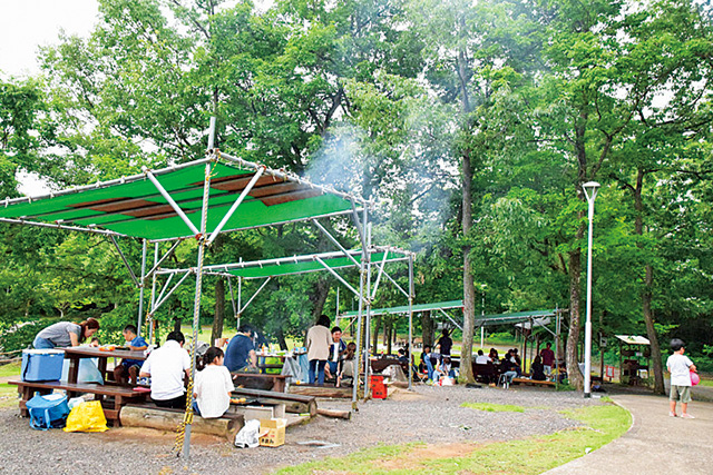 BBQガーデン|ティラノサウルス広場/かつやま恐竜の森(勝山市)