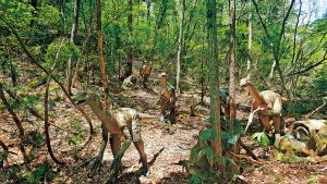 福井県立恐竜博物館に隣接「かつやま恐竜の森」で恐竜と遭遇しよう!化石発掘体験も