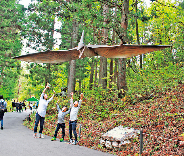 ゾーン②　大空の王者／プテラノドン｜かつやまディノパーク/かつやま恐竜の森（勝山市）