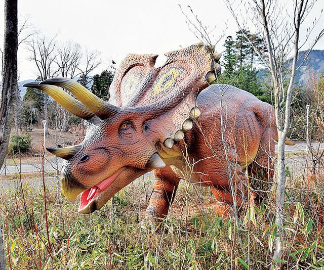 ゾーン⑤ 角竜が勢揃い/ペンタケラトプスほか|かつやまディノパーク/かつやま恐竜の森(勝山市)