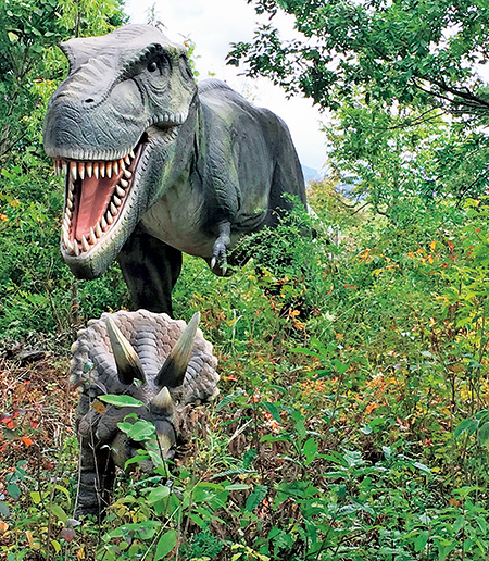 ゾーン⑥ 陸の王者対決/ティラノサウルス、トリケラトプス|かつやまディノパーク/かつやま恐竜の森(勝山市)