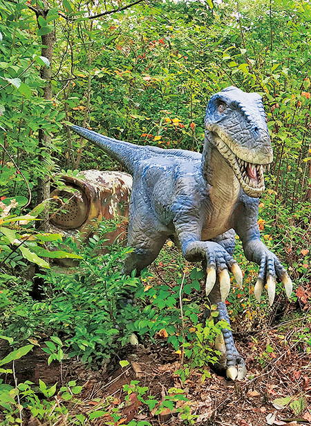 ゾーン④ 襲撃の谷/ヴェロキラプトル|かつやまディノパーク/かつやま恐竜の森(勝山市)