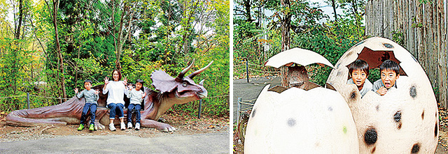 フォトスポット|かつやまディノパーク/かつやま恐竜の森(勝山市)