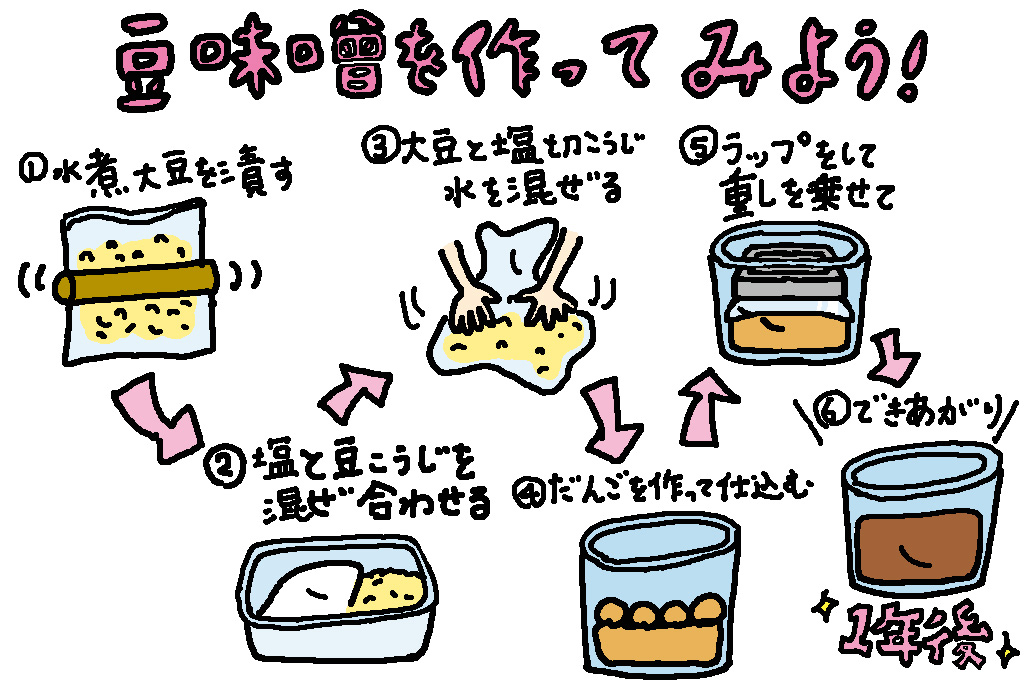 豆味噌作りに挑戦/愛知県の特産品「八丁味噌」