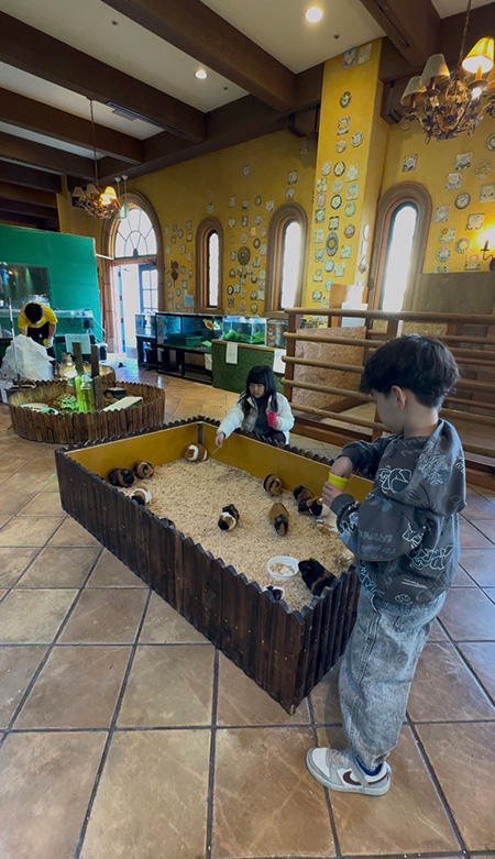エサやり/ワクワクいきものワールド in 和歌山マリーナシティ(和歌山県/和歌山市)