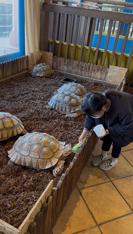 大きなケヅメリクガメにもエサやり/ワクワクいきものワールド in 和歌山マリーナシティ(和歌山県/和歌山市)
