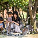 雨でもOK！関西の屋内動物園・動物ふれあいスポット9選（大阪・兵庫・京都ほか）