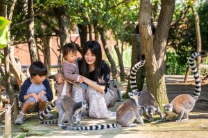 雨でもOK!関西の屋内動物園・動物ふれあいスポット9選(大阪・兵庫・京都ほか)
