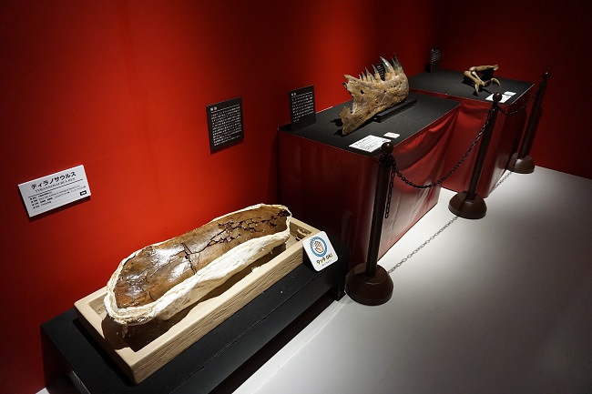 化石展示/恐竜アドベンチャー展ダイナソーメイズinよみうりランド(東京都/稲城市)
