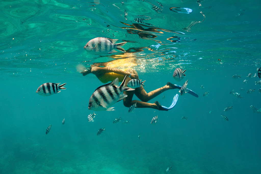 モルディブ家族旅行キャンペーン