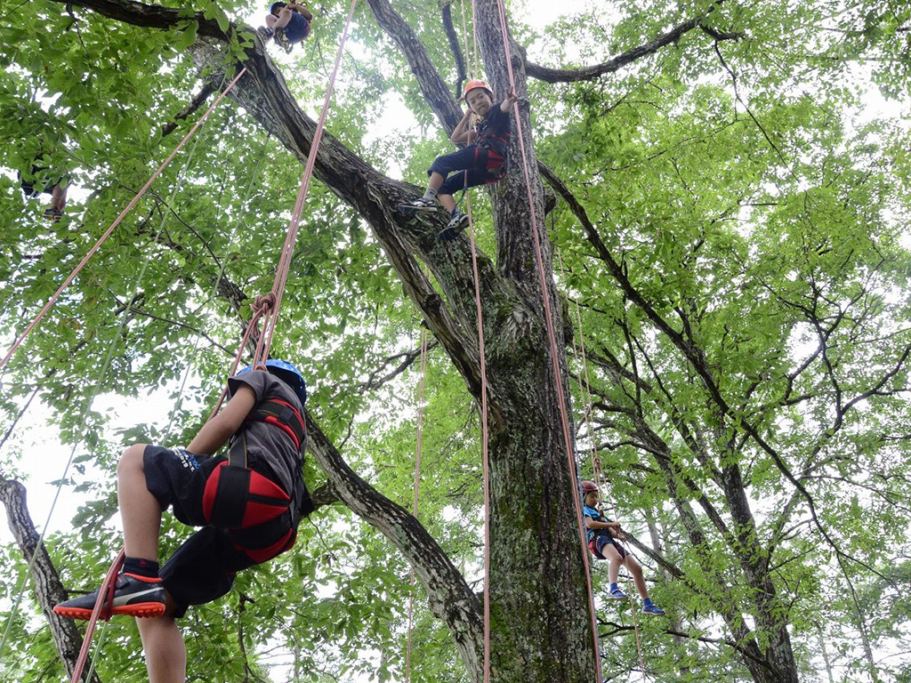 ロープを使った木登り「ツリーイング」/Spring Festa2024~春の森で遊ぼう!新緑ピクニック~(長野県/大町市)