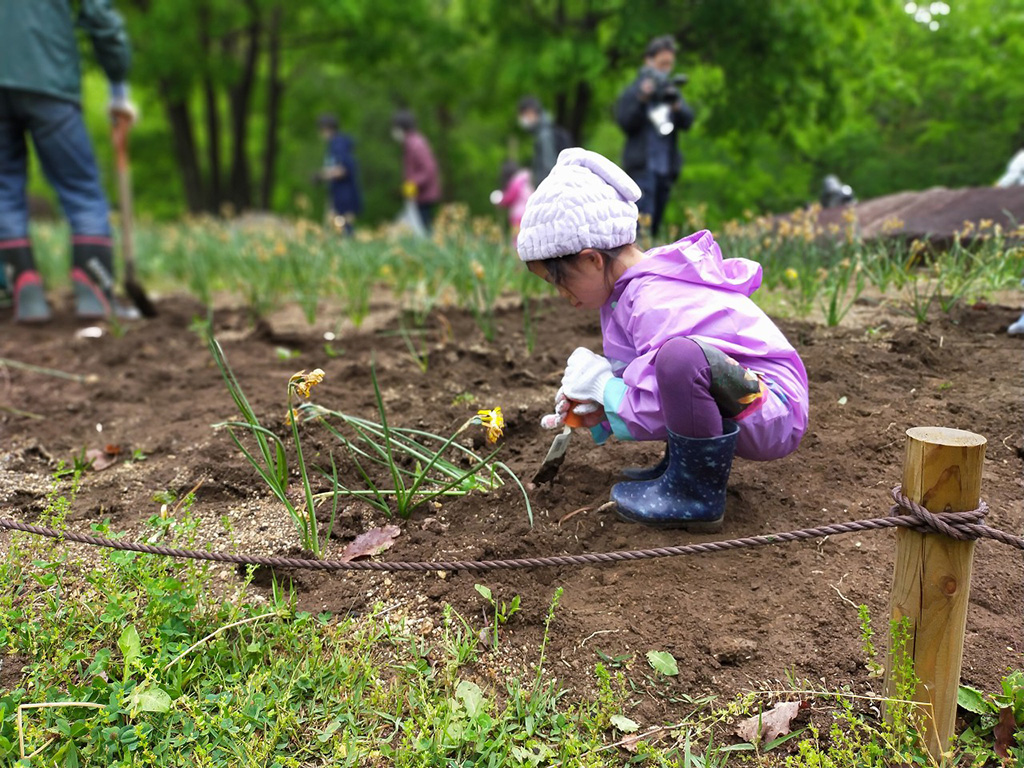 球根の掘り取りイベント/Spring Festa2024~春の森で遊ぼう!新緑ピクニック~(長野県/大町市)