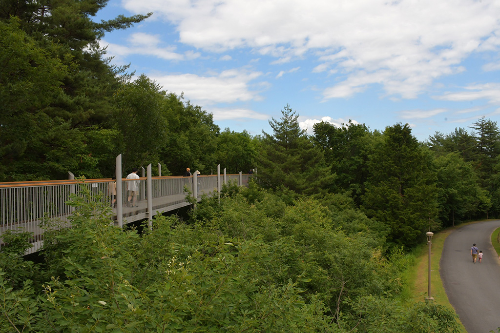 空中回廊/Spring Festa2024~春の森で遊ぼう!新緑ピクニック~(長野県/大町市)