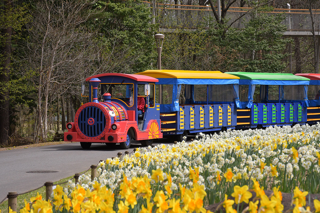 無料の園内バス「ロードトレイン」/Spring Festa2024~春の森で遊ぼう!新緑ピクニック~(長野県/大町市)
